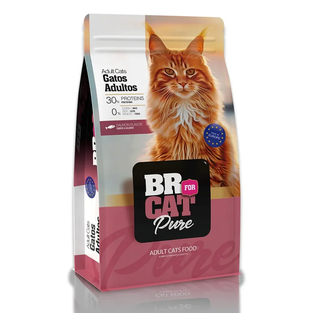 BR FOR CAT ADULTO SALMON 1KG