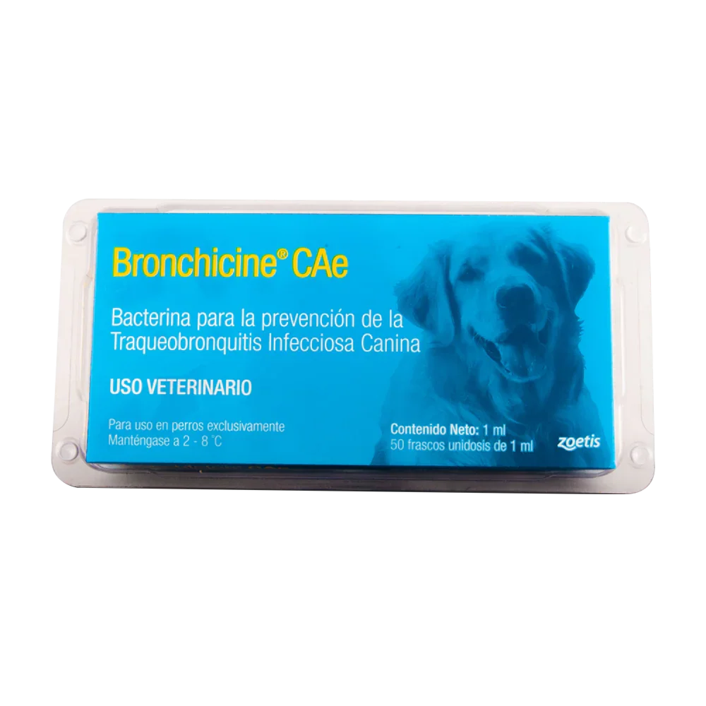 BRONCHICHINE CAE TOS DE LAS PERRERAS