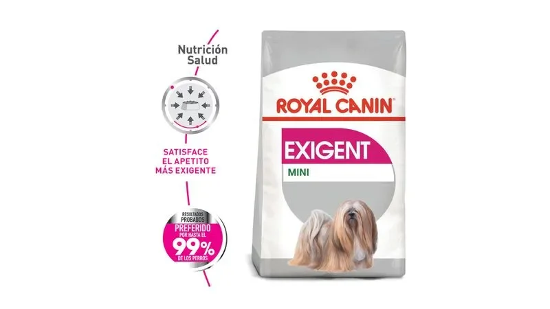 Royal canin exigent mini perros
