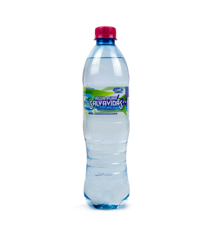 Agua Pura Salvavidas 600ml