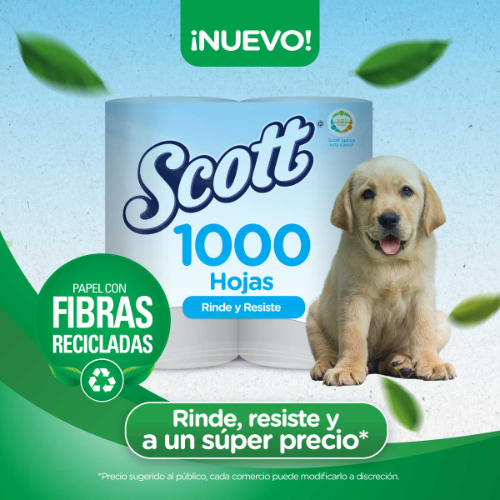 Papel Scott milhojas individual