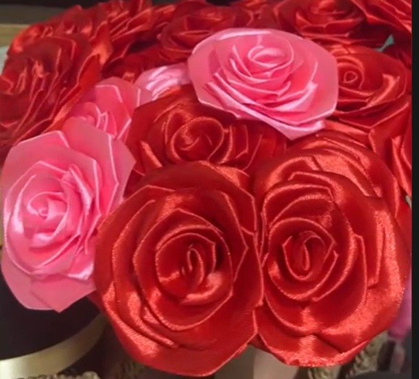 ROSA ATERNA A DISPONIBILIDAD