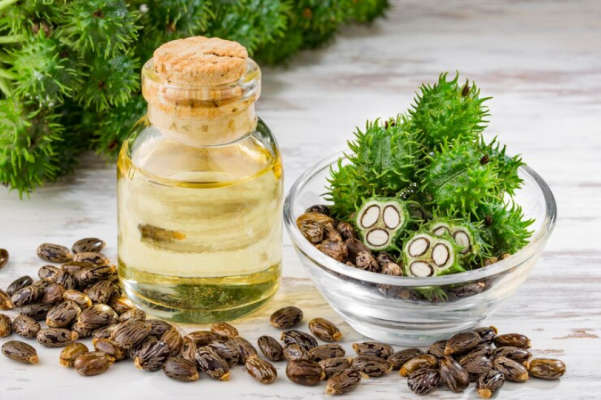 ACEITE DE RECINO