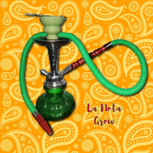 Narguile verde