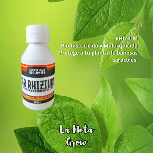 Green Leaf Ar Rhizium 100CC
