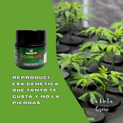 Namaste Clonaste 30ML