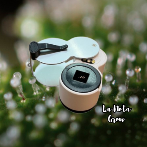 Galileo Lupa x45