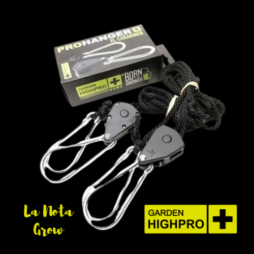 Poleas Pro Hanger 68Kg