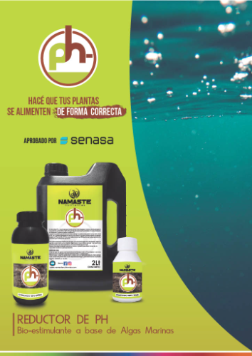 Namaste regulador de PH 500ML