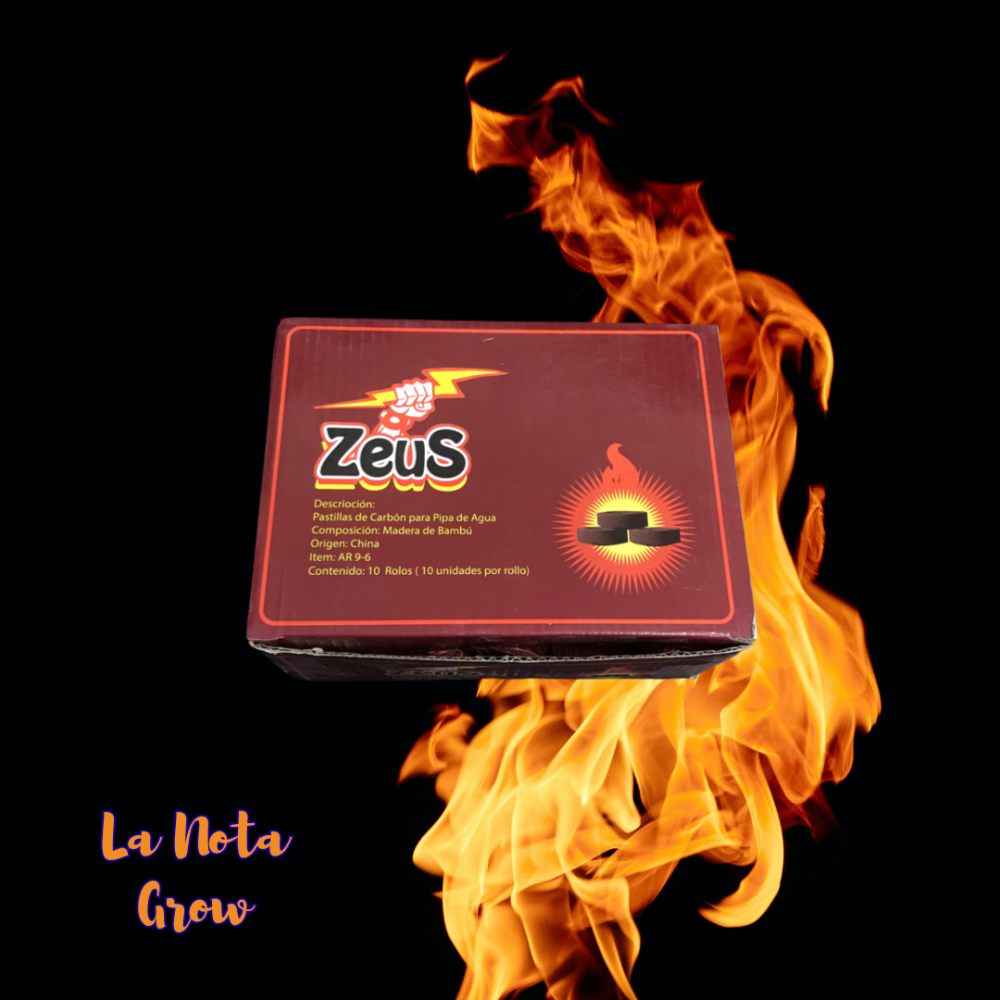 Zeus Carbon para Narguile