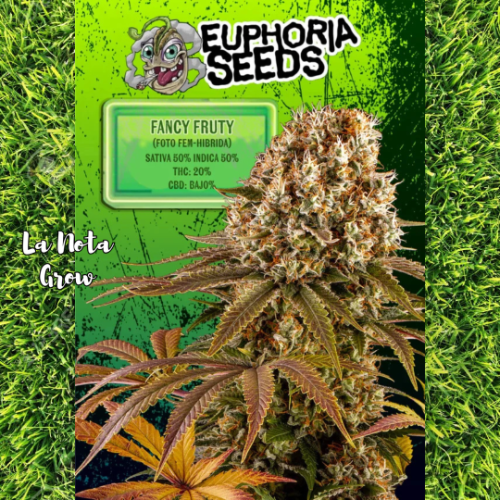Fancy Fruty (Foto)x3 Euphoria Seeds