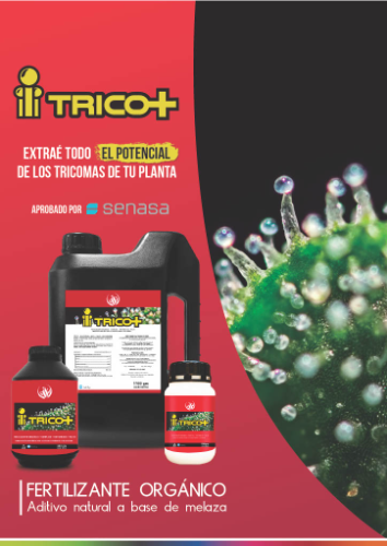 Namaste Trico+ 100Gr
