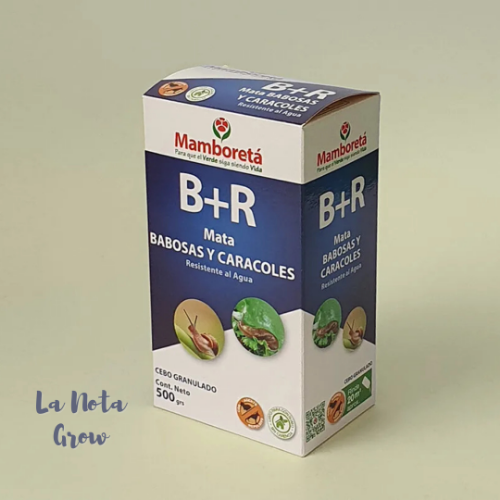 Mamboreta B+R 100Cm³