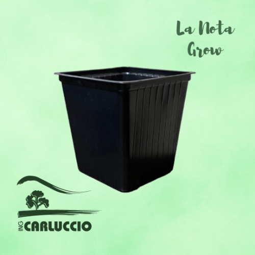 Carluccio maceta9x7