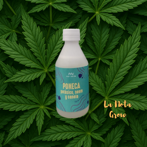 Mar verde Poneca 250ML