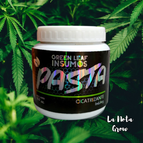 Green Leaf Pasta Cicatrizante 100CC
