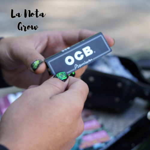 Hojillas OCB Premium 1.1/4