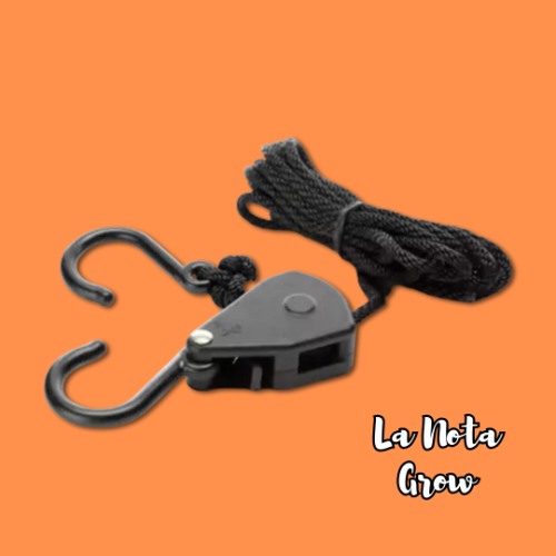 Poleas 15Kg