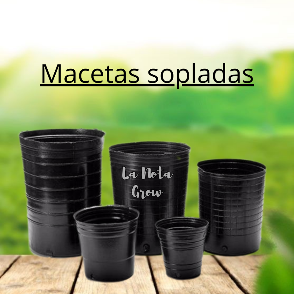 Maceta soplada 20 Litros
