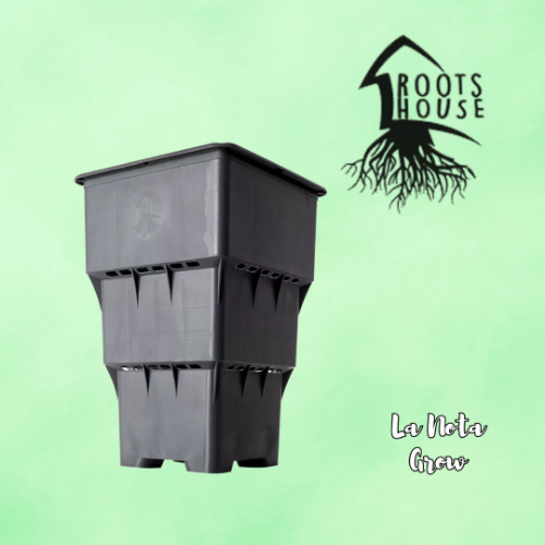 Maceta Root House10 Litros