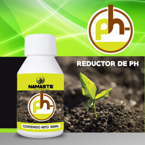 Namaste regulador de PH 100ML