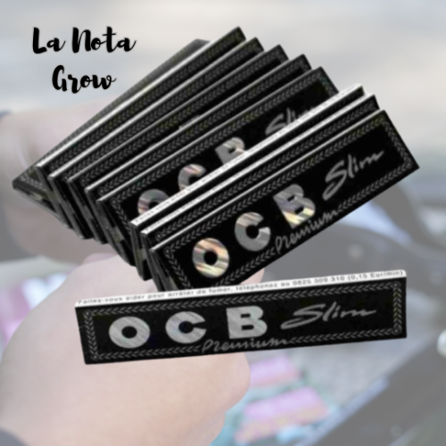Hojillas OCB Premium Slim