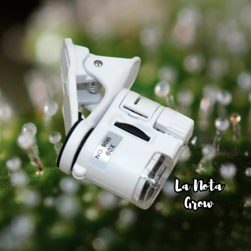 Lupa Microscopio c/ Pinza y Luz TL37