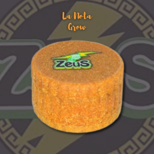 Zeus Picador Plastico 4 Partes