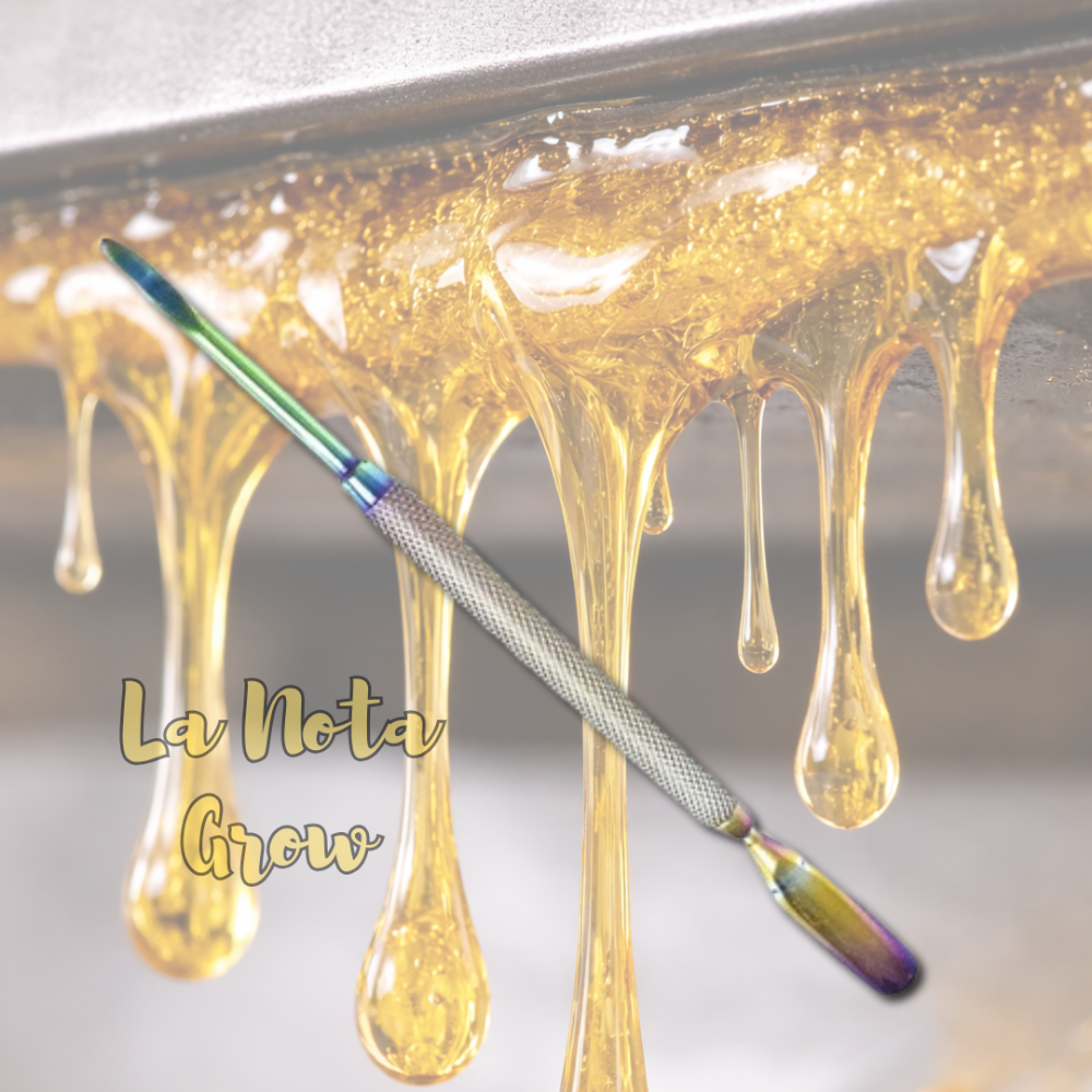 RiwoDabber