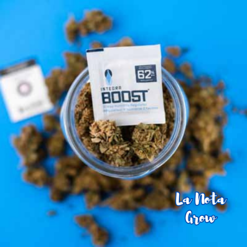 Integra boost 8Gr 55%