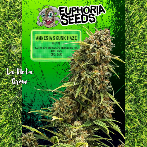 Amnesia Skunk Haze (Auto)x3 Euphoria Seeds
