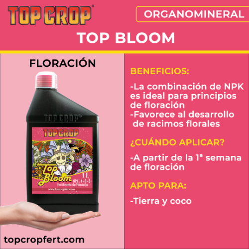 Top Crop Top Bloom 250ML