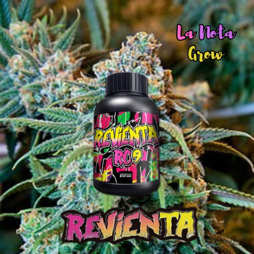 Revienta Cogollos 100ML