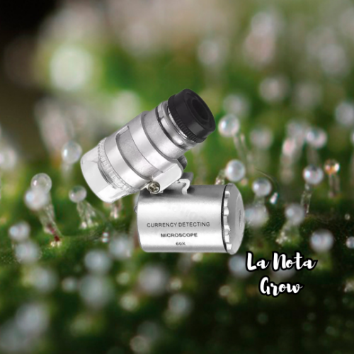 Lupa Ajustable 60X Con Led