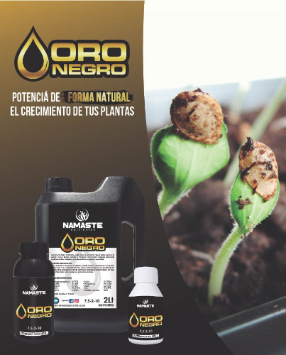 Namaste Oro Negro 100ML