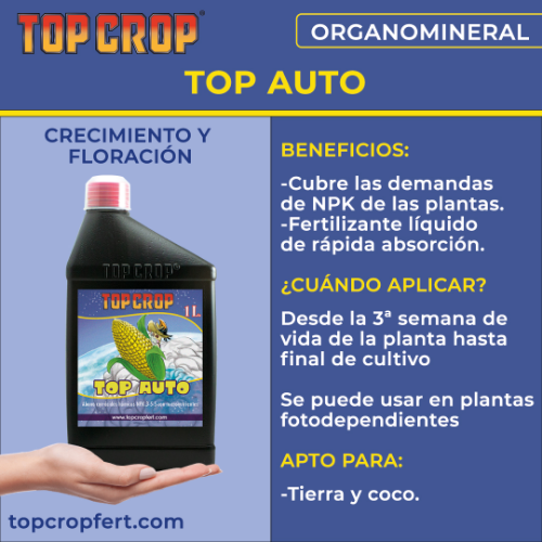 Top Crop Top Auto 250ML