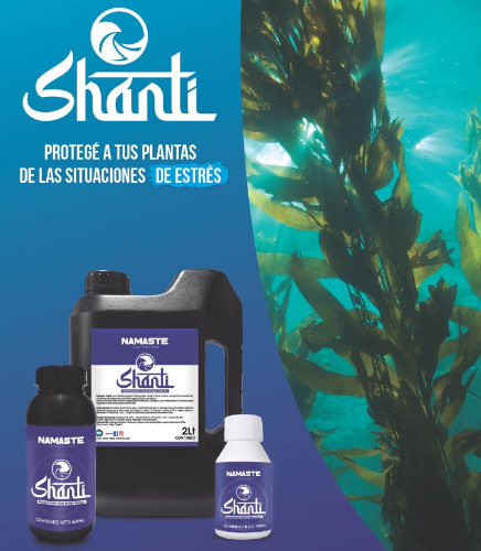Namaste Shanti 100ML