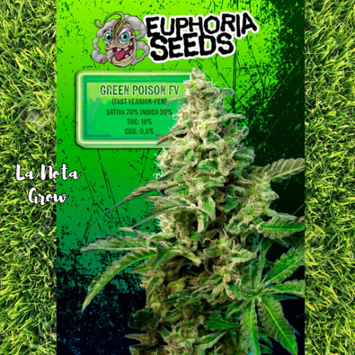 Green Poison Fast version (Foto)x3 Euphoria Seeds