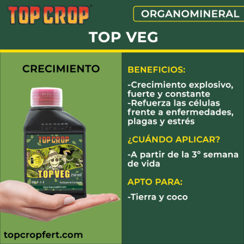 Top Crop Top Veg 250ML