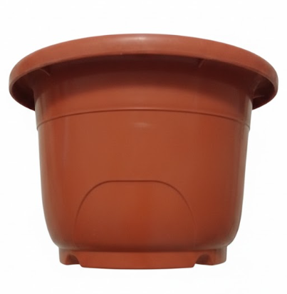 MACETA EGIPCIA 2
