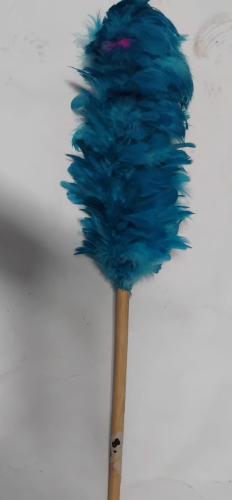 PLUMERO PLUMA