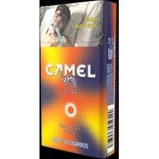 CAMEL TROPICAL 20´S