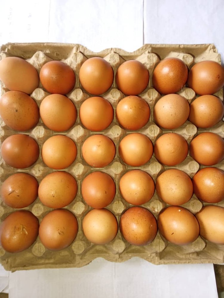 HUEVOS POR UNIDAD