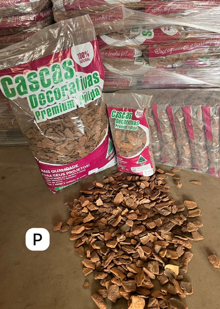 Casca de Pinus