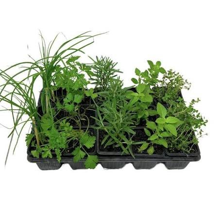 Temperos variados