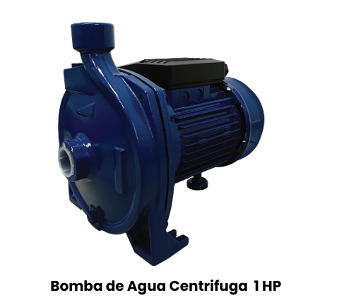 Bomba de Agua Centrífuga 1HP Roccia
