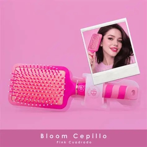 bloom cepillo cuadros en bloomshell