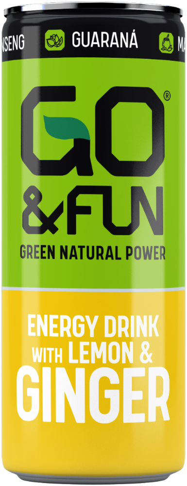 go fun energizante lemon ginger 250ml