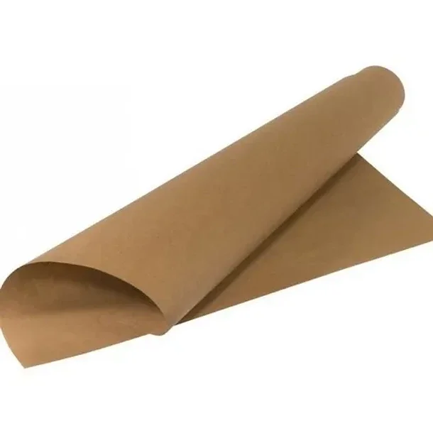 PAPEL TRASO X50