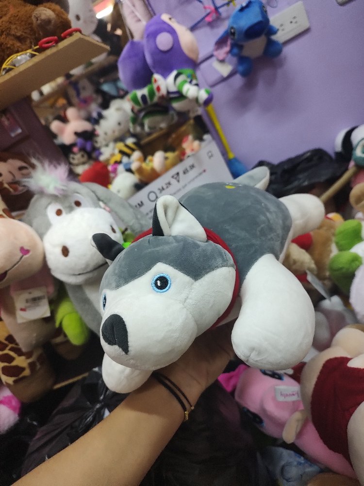 lobo acostado pequeno